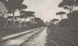 La ferrovia attraversa la pineta - Anno 1922